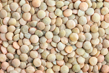 Green Lentils