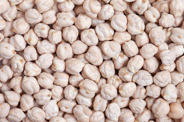Chickpea Bean
