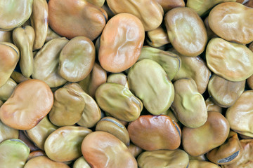 Broad Beans