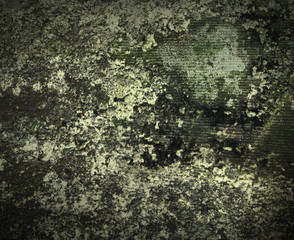 old molded wall texture or background