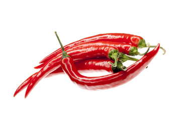 rote frische Chili Schoten isoliert