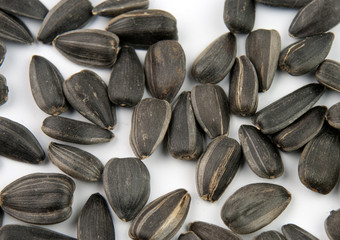 seed sunflower