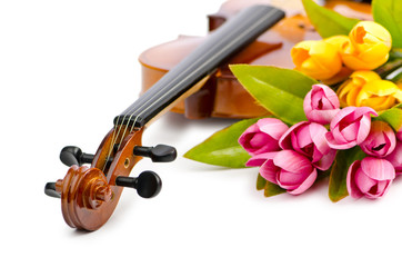 Violin and tulip flowers on white © Elnur
