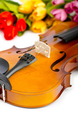 Obraz premium Violin and tulip flowers on white