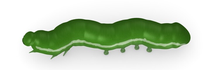 3d render of caterpillar bug