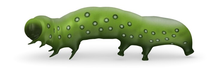 3d render of caterpillar bug