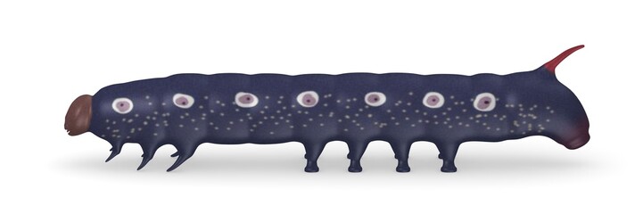 3d render of caterpillar bug
