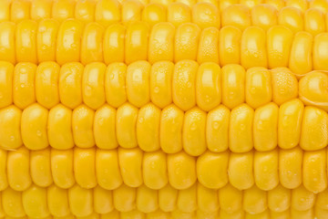 Corn