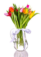 Spring tulips in vase, isolated on white background