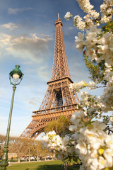 Eiffel Tower during spring time  in Paris, France