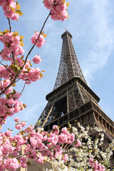 Naklejka premium Wieża Eiffla wiosną w Paryżu we Francji