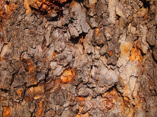 SFONDO DI LEGNO NATURALE