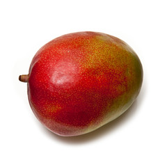 Mango isolated on a white studio background.