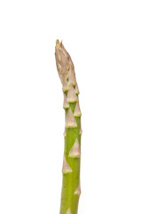Asparagus isolated on a white studio background.