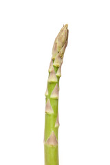 Asparagus isolated on a white studio background.