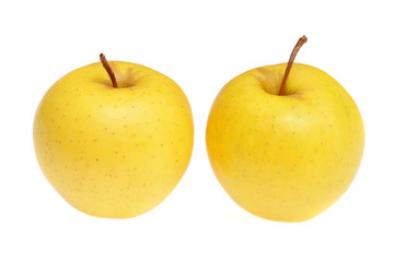 Polish apples- kosztela © Tomasz Warszewski
