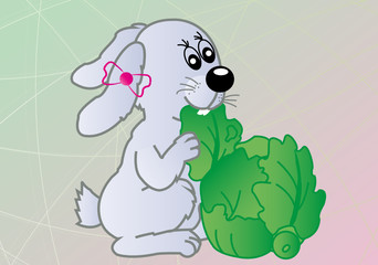 Rabbit holds cabbage