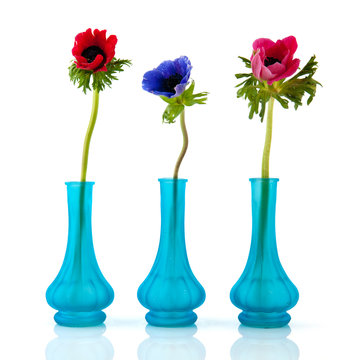 Little blue vases Anemones