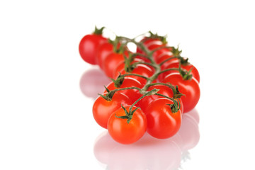 Beautiful cherry tomatoes on a branch isolated on white