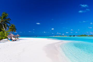 Palm trees over lagoon and white sandy beach