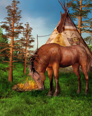 Un cheval devant un camp indien