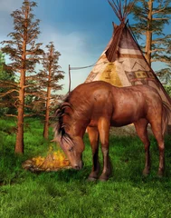  Een paard voor een indianenkamp © Obsidian Fantasy