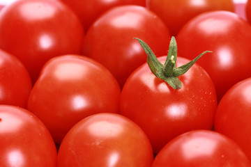 One tomato stands out from