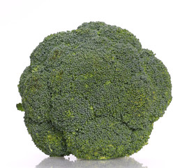 broccoli on a white background