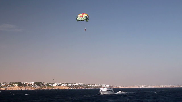 People parasailing in the Red Sea.