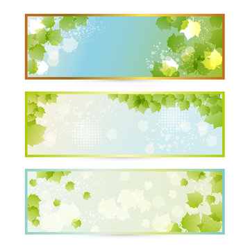 spring green leaves frame set