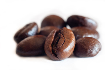 Coffee beans on a white background