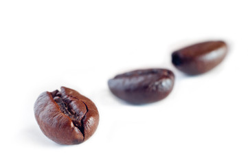 Coffee beans on a white background