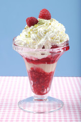 Ice Cream Sundae
