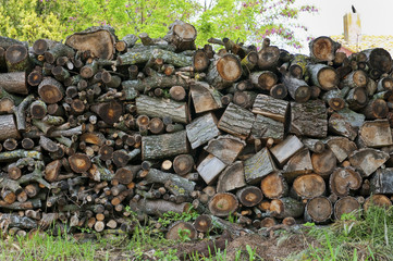 stack of firewood