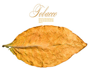 dry leaf