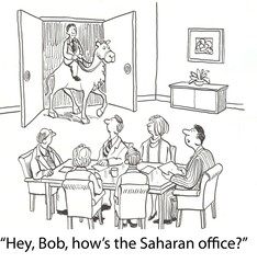 Camel in office