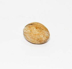 One whole Walnut on white background