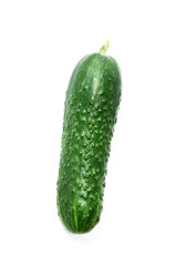 Isolated fresh domestic cucunber