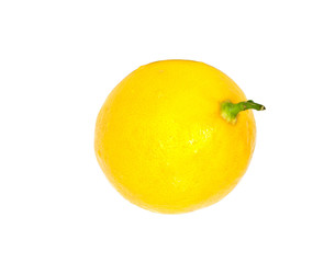 Lemon isolated on white background with copy space