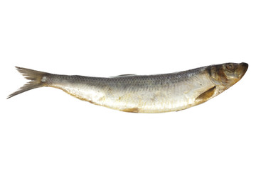 salted herring on white background