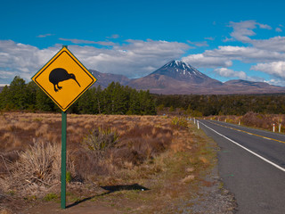 Kiwi sign