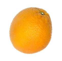 Orange isolated on white background