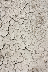 monochrome background texture abstraction