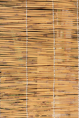 Cane texture