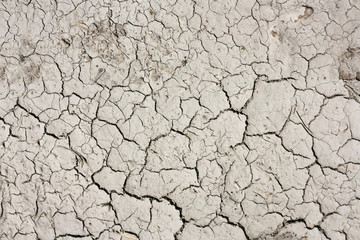 monochrome background texture abstraction