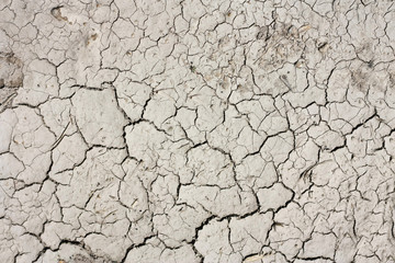 monochrome background texture abstraction