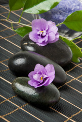 stones with purple flower and lavender salt