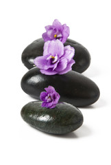 stones with purple flower