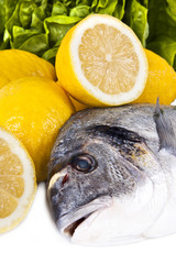 pescado crudo fresco con fondo blanco