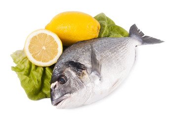 pescado crudo fresco con fondo blanco